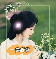 8.png