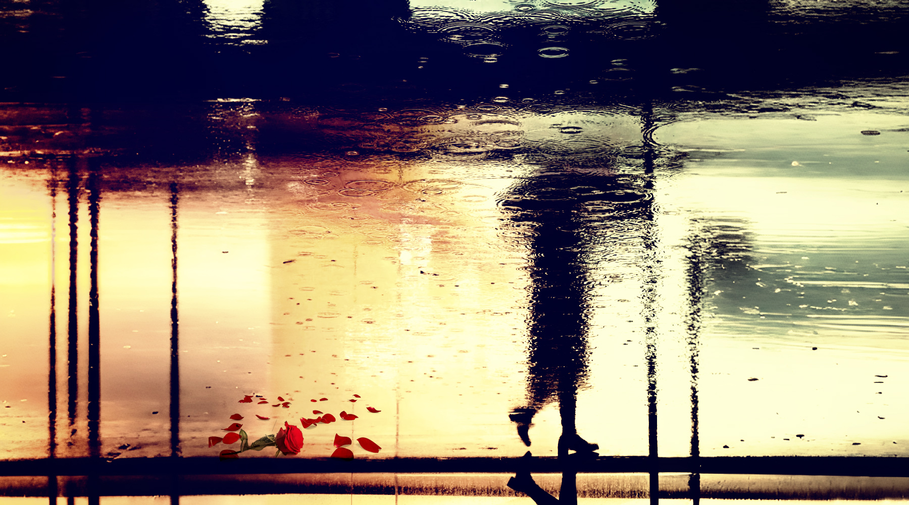 20250815˼.jpg