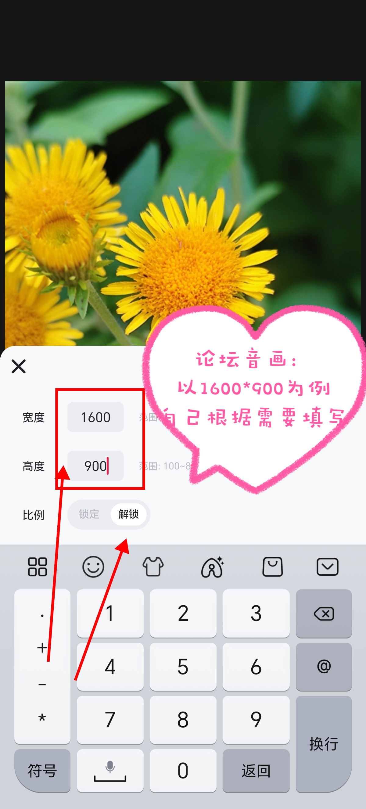 MEITU_20250815_145524755.jpg