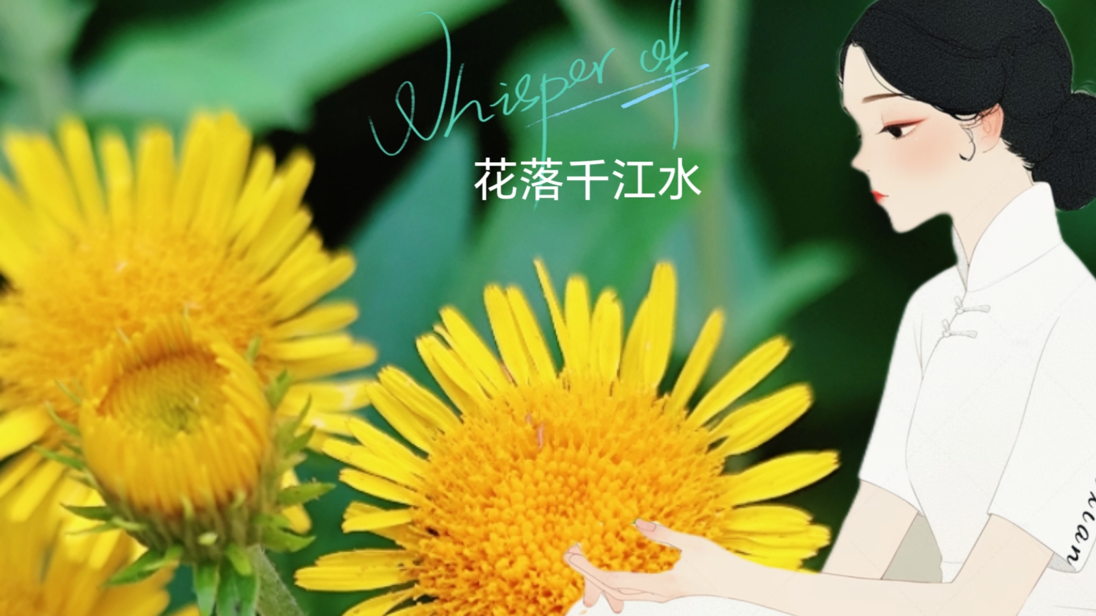 MEITU_20250815_144502220.jpg