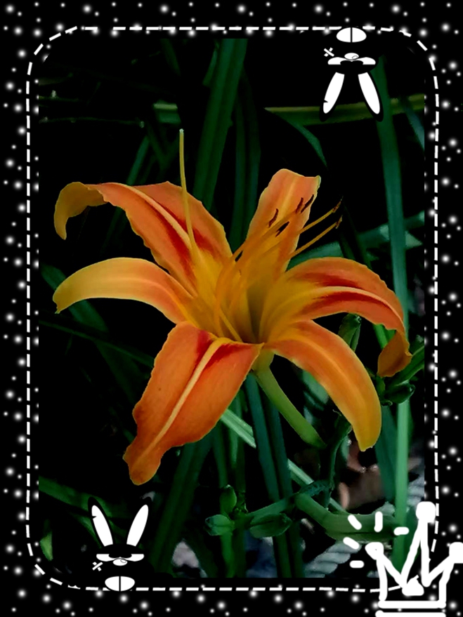 ΢ͼƬ_20250817150347.jpg