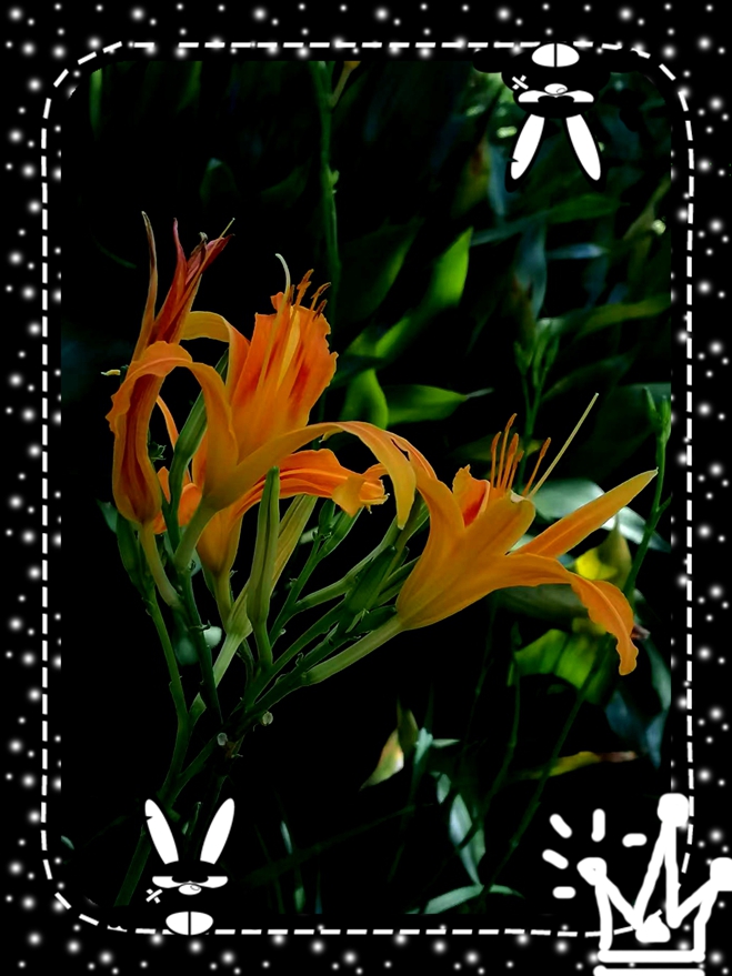 ΢ͼƬ_20250817150351.jpg