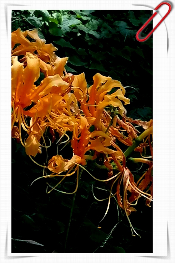 ΢ͼƬ_20250817150822.jpg