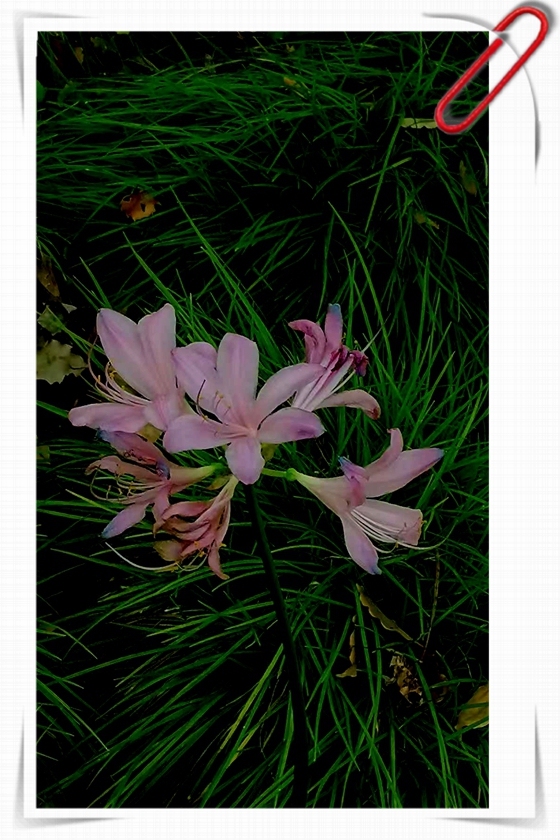 ΢ͼƬ_20250817150938.jpg