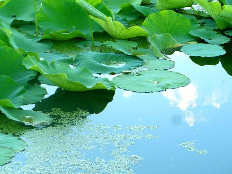 DSCN1291__.jpg