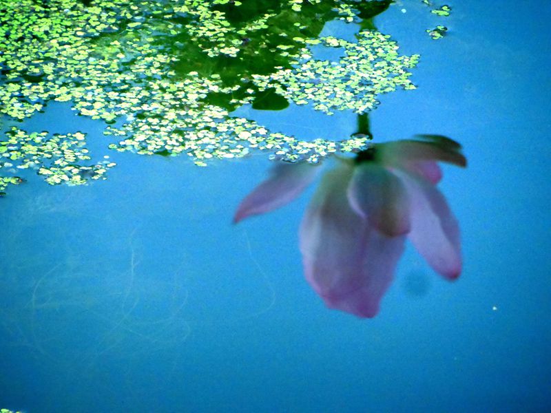 DSCN1301__.jpg