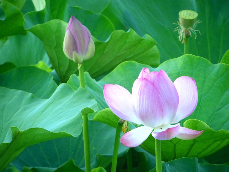 DSCN1303__.jpg