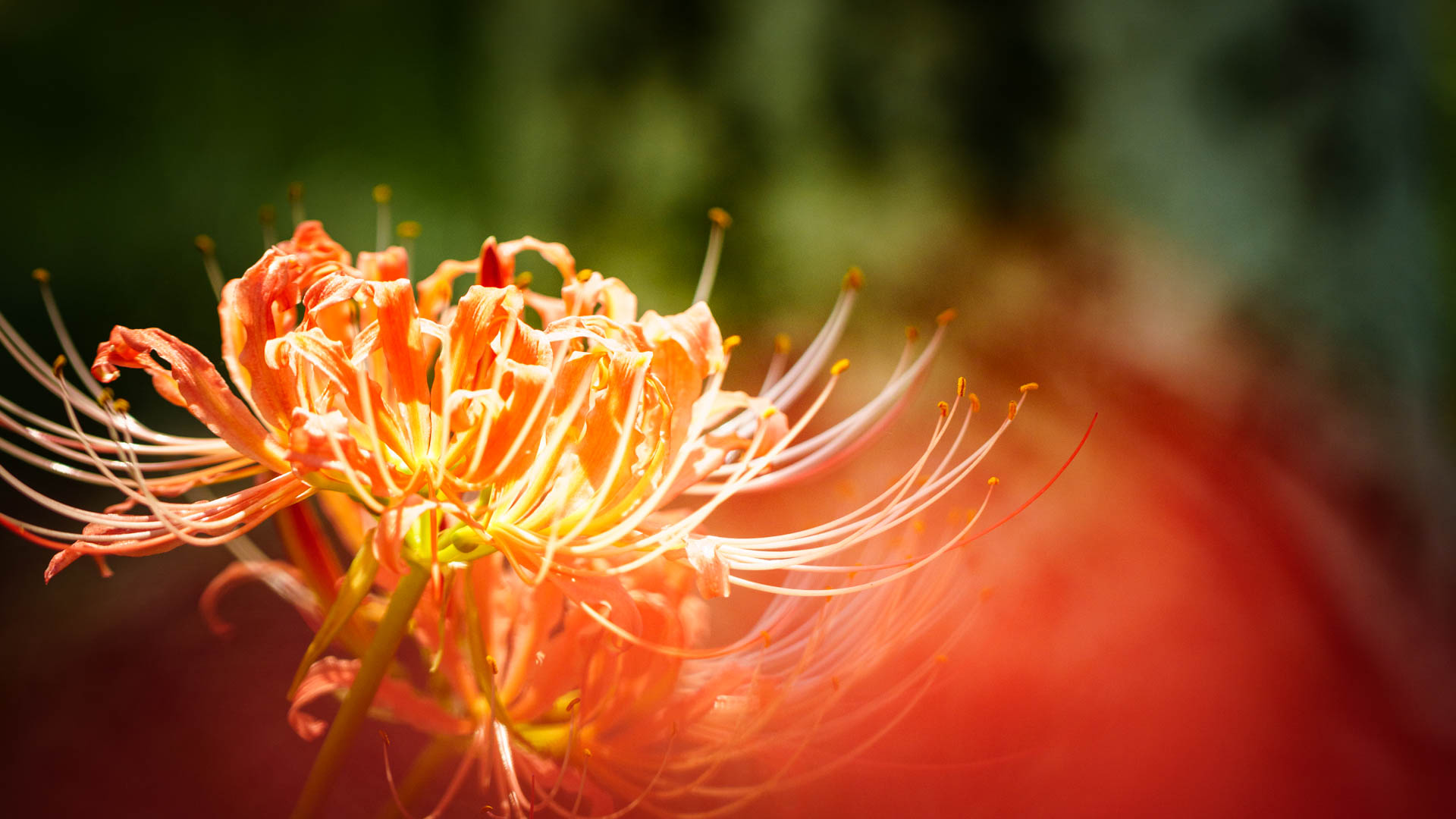 _DSC1203.jpeg