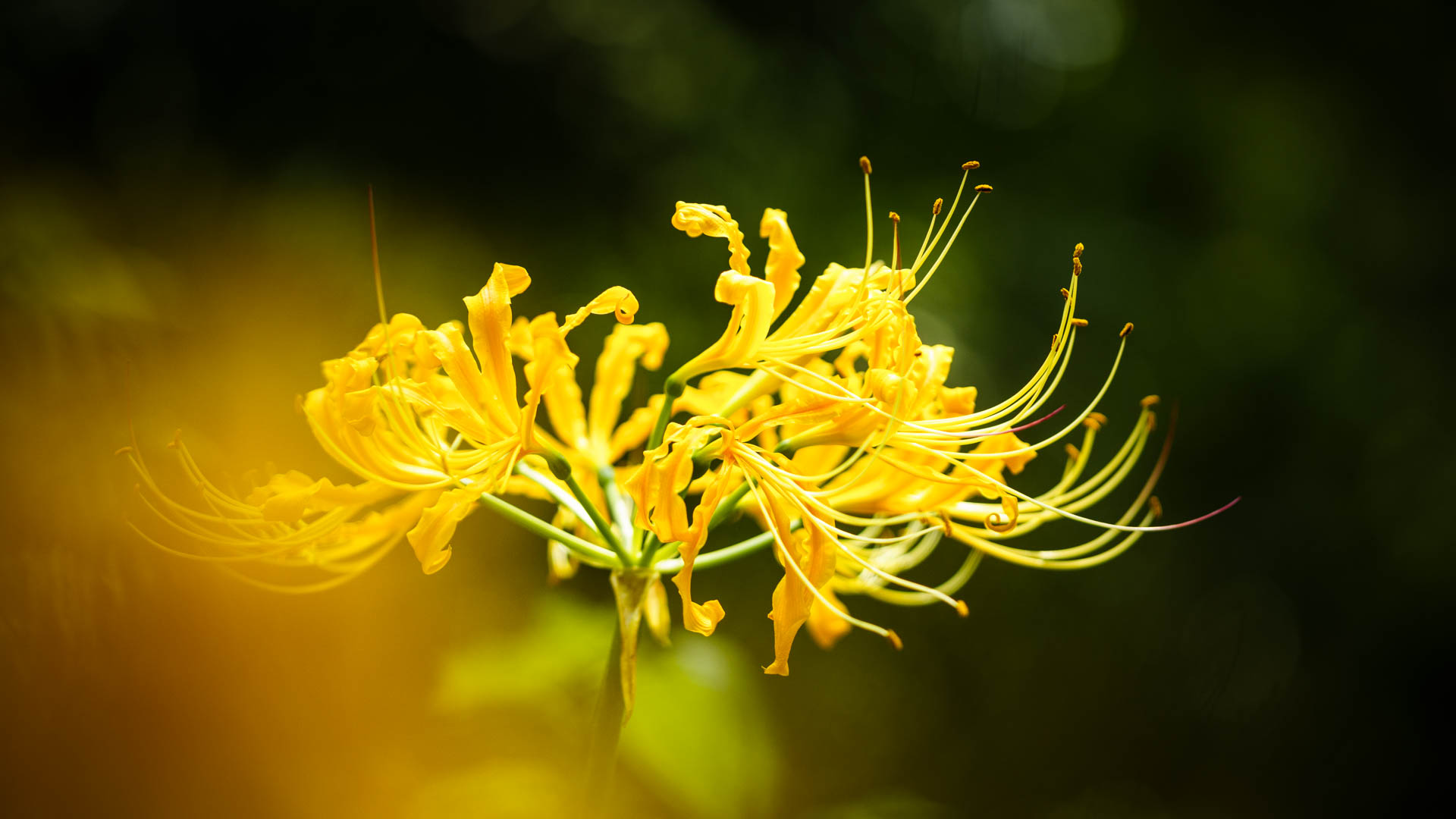 _DSC1319.jpeg