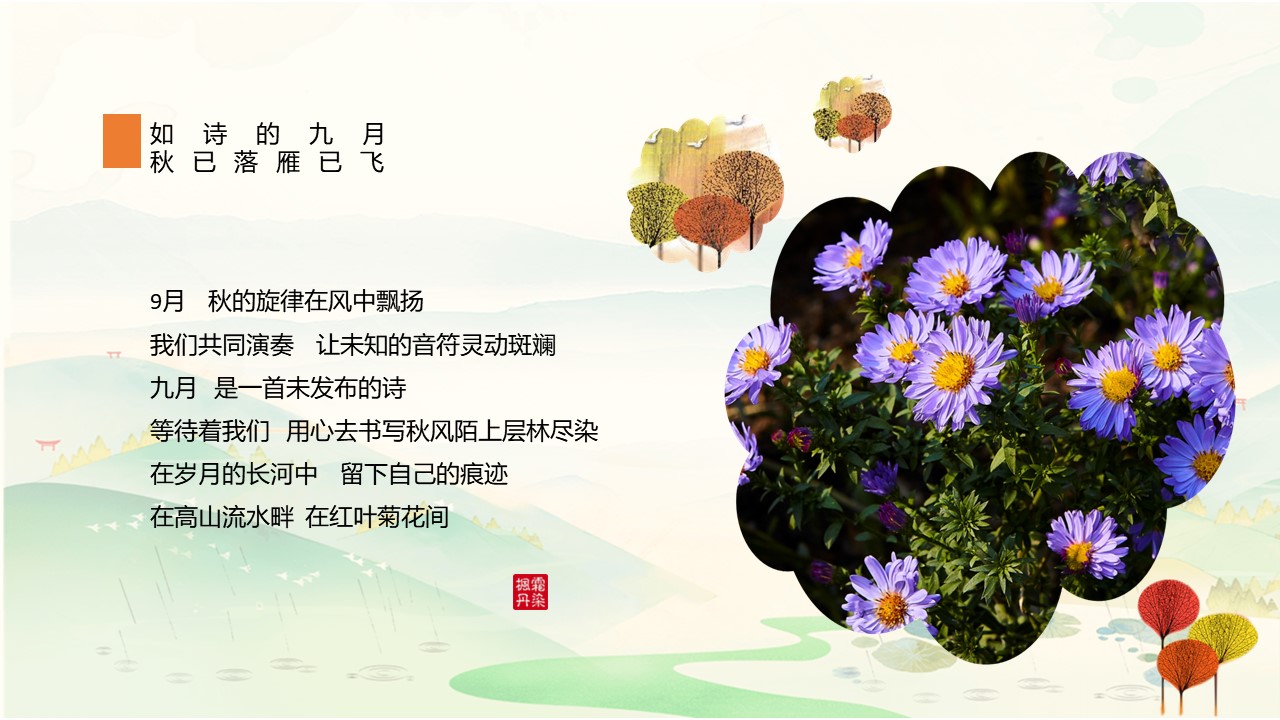 d xuqv.jpg