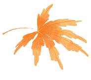9fba71afdadab15451cfb908c4b4e3a4406056306174c-rRGiI0_fw480g.gif