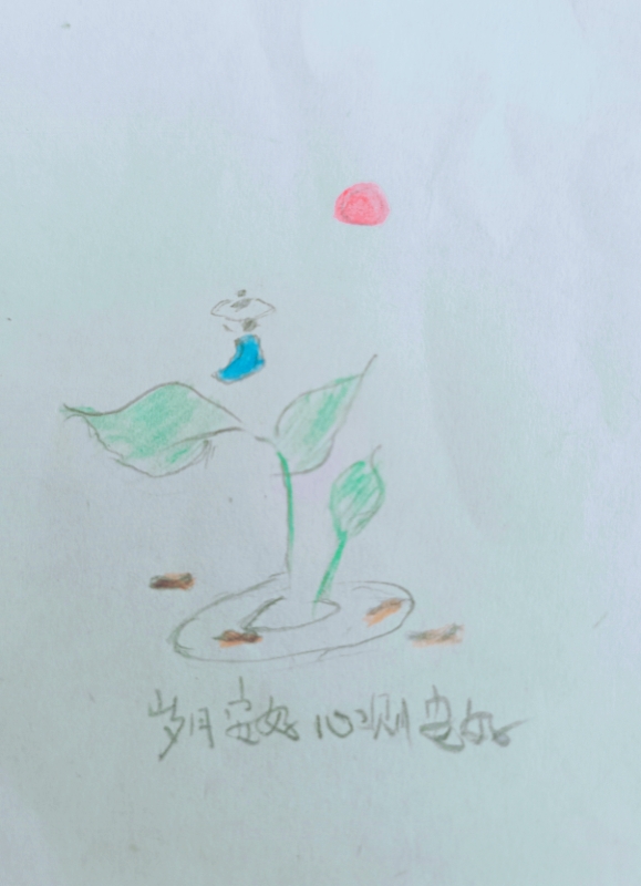 MEITU_20250911_103416830.jpg