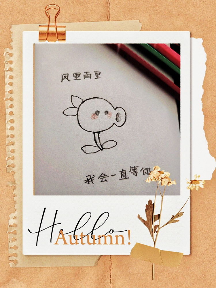 MEITU_20250911_103700663.jpg