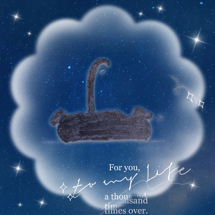 MEITU_20250911_111211459.jpg