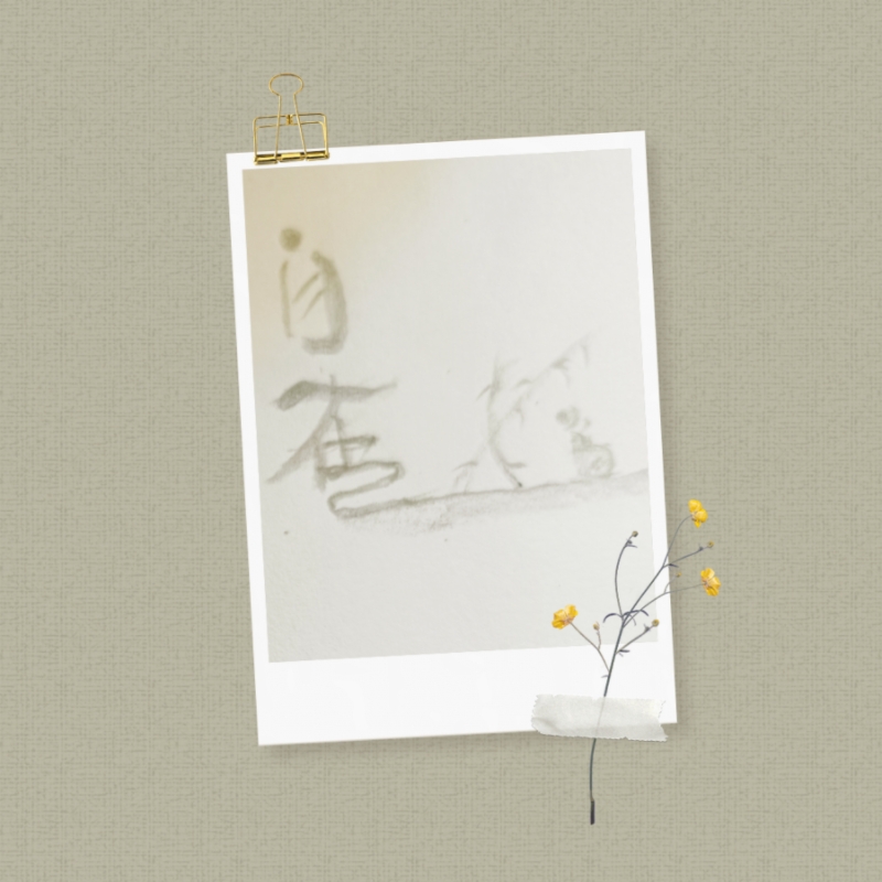 MEITU_20250912_095208599.jpg