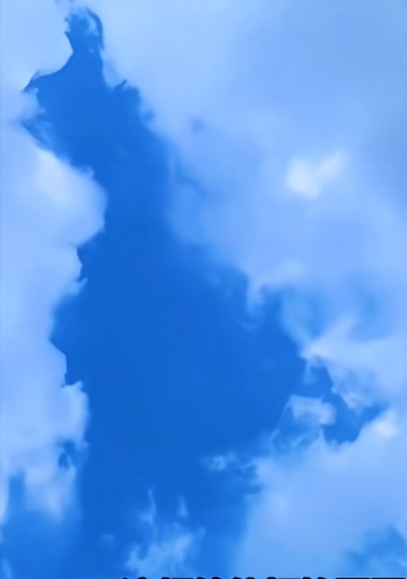 1000056237.jpg