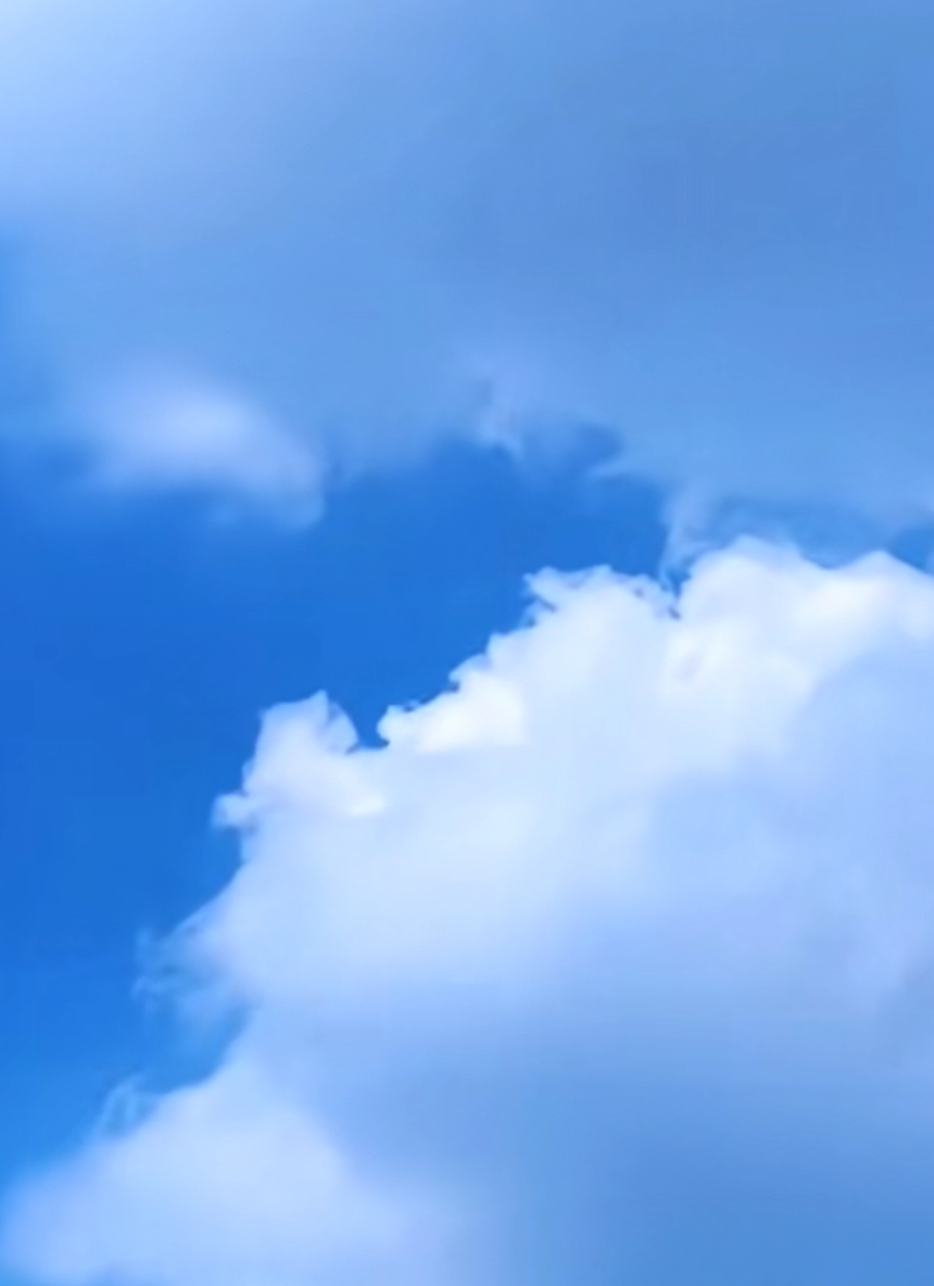 1000056236.jpg