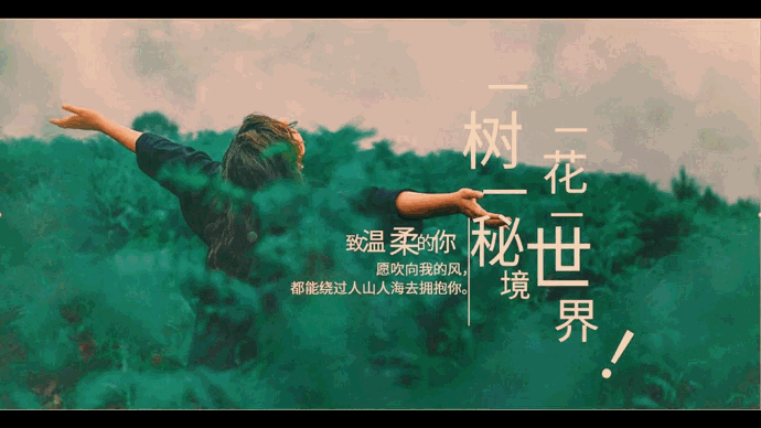 123350n2vn3n62449a3226.gif