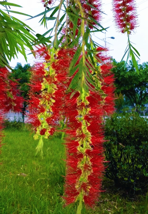 MEITU_20250923_171543667.jpg