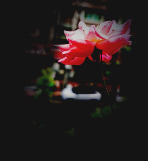 MEITU_20250923_163853233.jpg