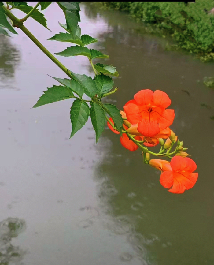 IMG_4103.jpeg