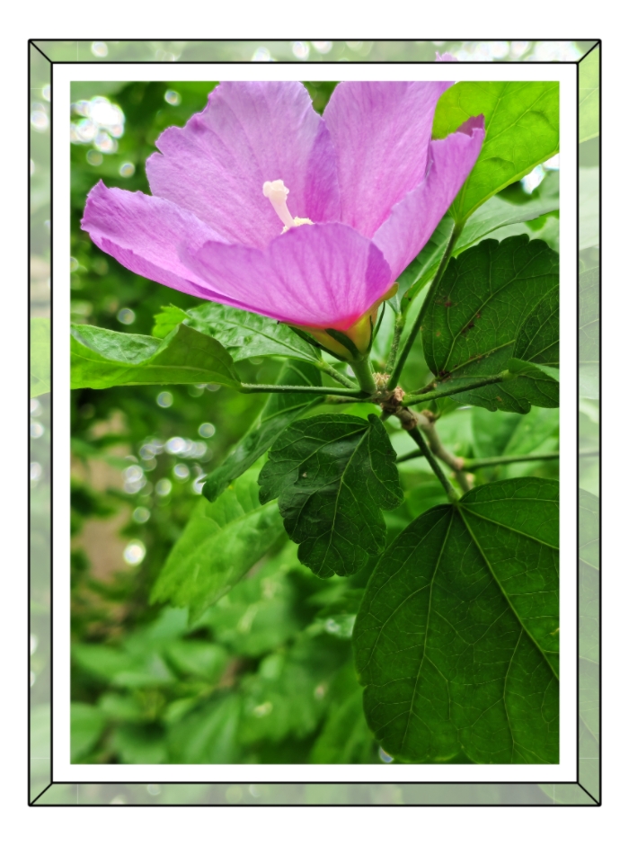 MEITU_20250924_085316356.jpg
