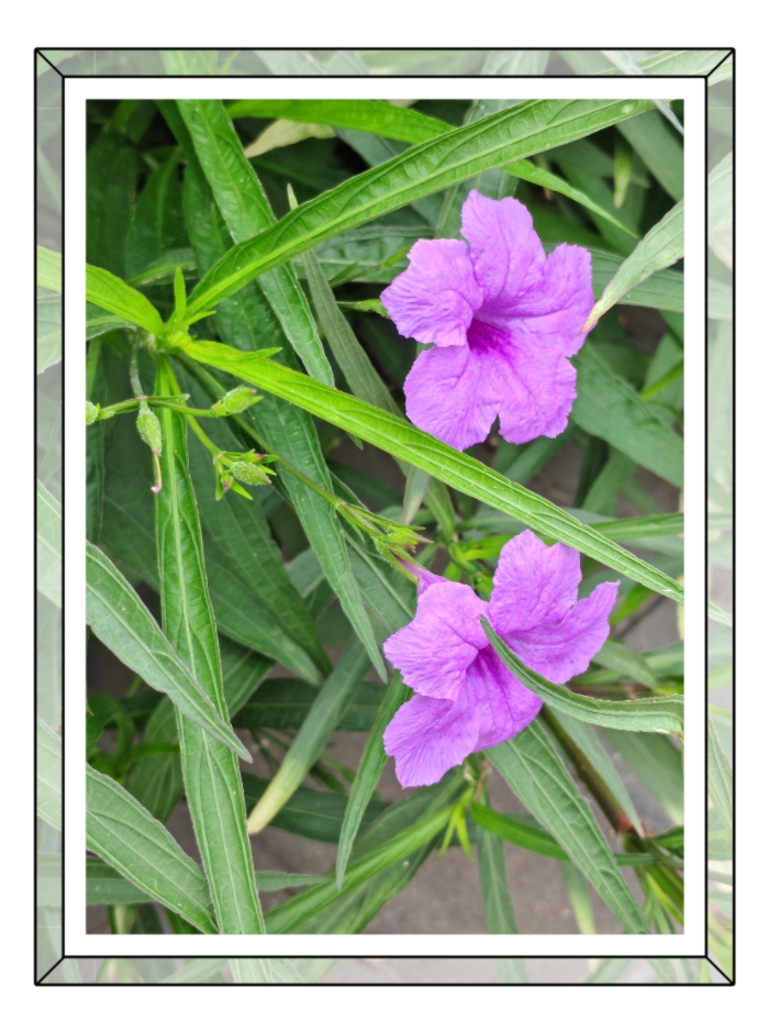 MEITU_20250924_085813673.jpg