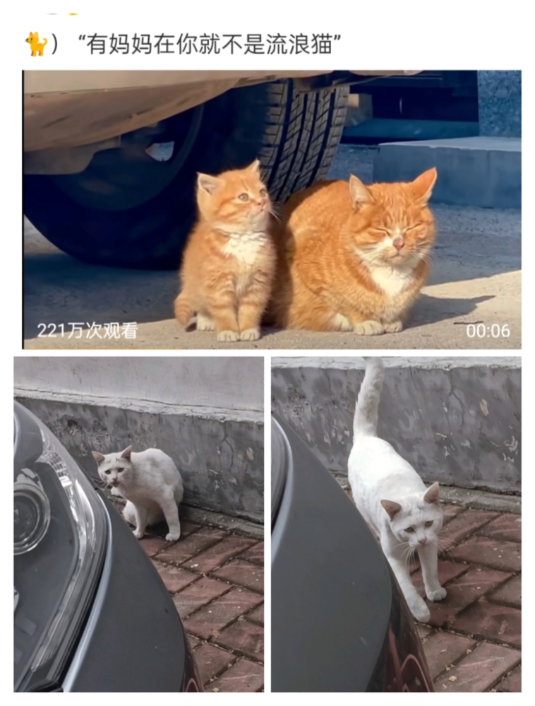 MEITU_20250929_081417274.jpg