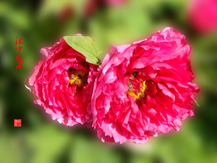 DSC02055.png