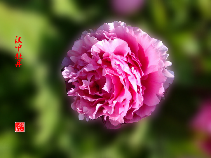 DSC02030.png