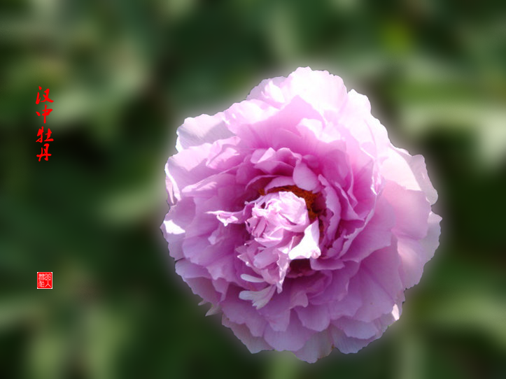 DSC02049.png