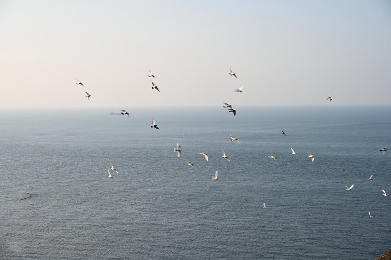 DSC_0994.JPG