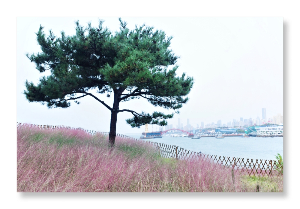 MEITU_20251002_151016010.jpg