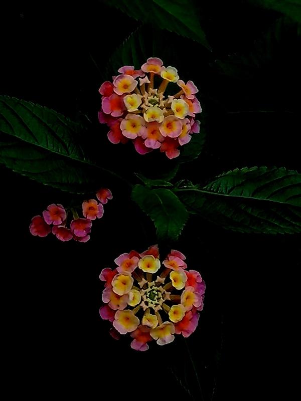΢ͼƬ_20251002192136.jpg