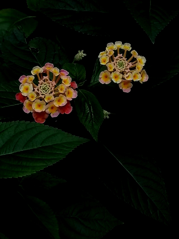 ΢ͼƬ_20251002192139.jpg