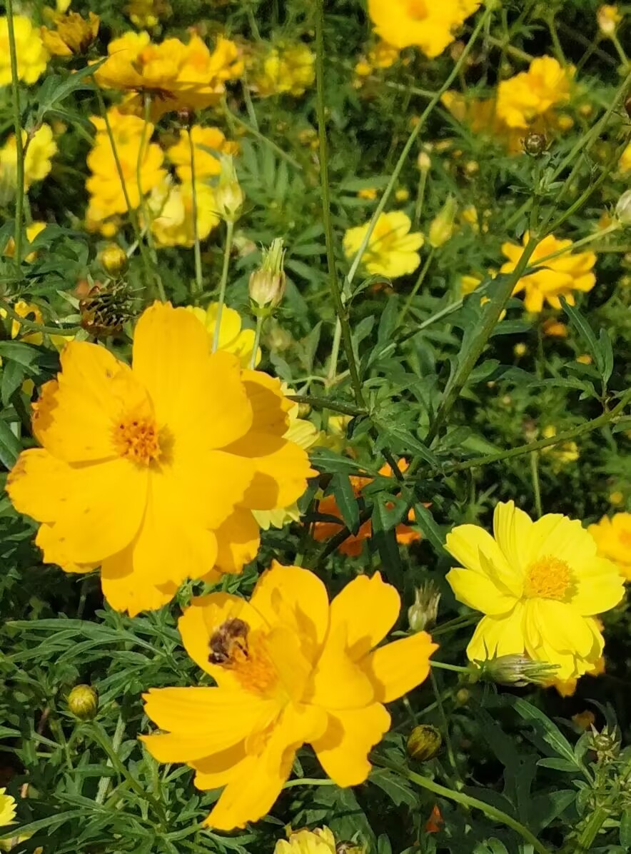 5D9799D0F83F8F533C13A9D85B22A125.jpg