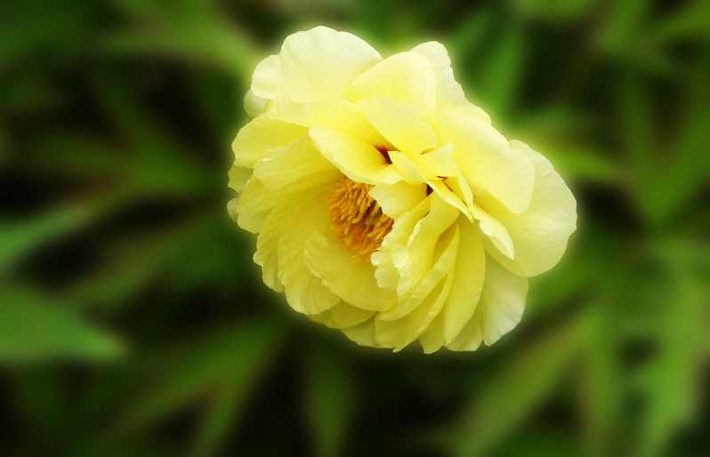 DSC05817.png