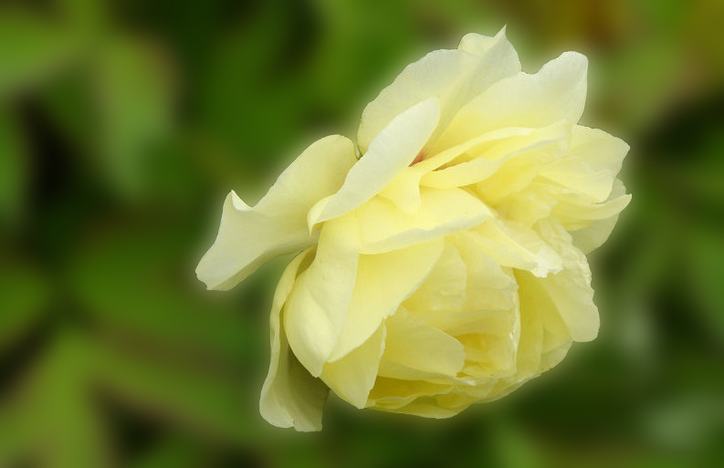 DSC05818.png