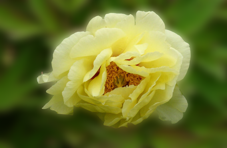 DSC05820.png