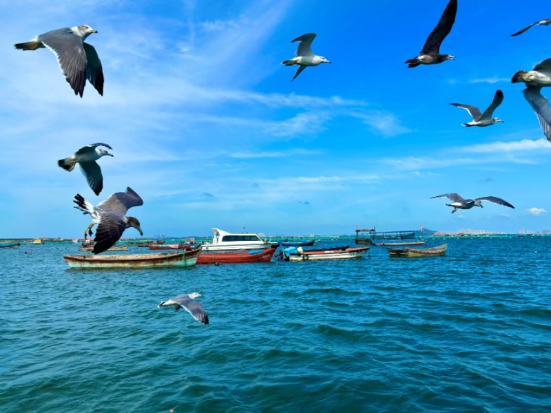 IMG_6296.jpeg