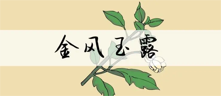 ͼƬ1.png
