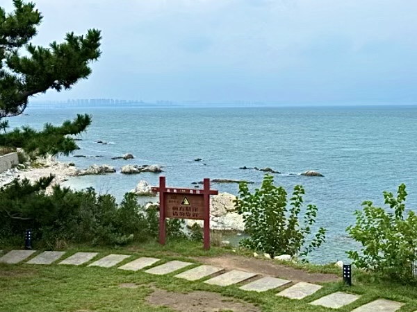IMG_6467.jpeg