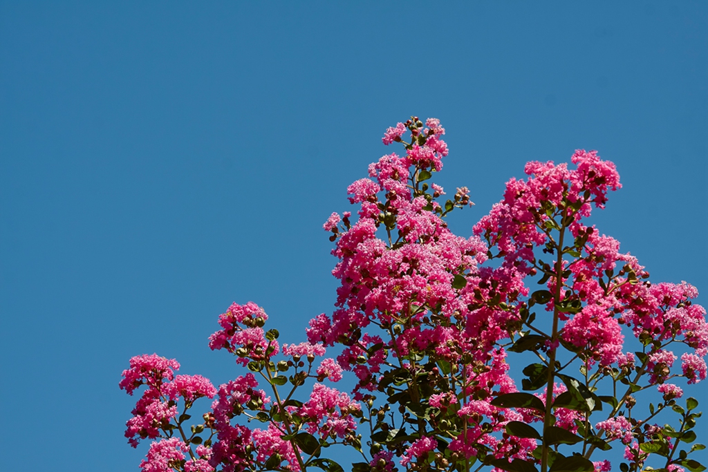 ޱ 4 (2).jpg