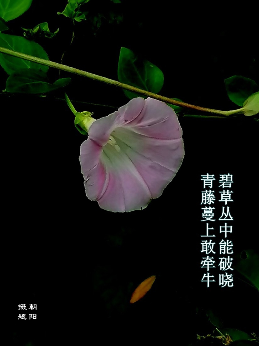 ΢ͼƬ_20250815203056.jpg