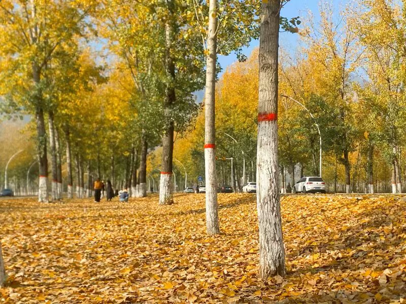 5040A771-FF15-4EF1-B5B8-1CEF7346BCFC.jpeg 5040A771-FF15-4EF1-B5B8-1CEF7346BCFC.jpeg