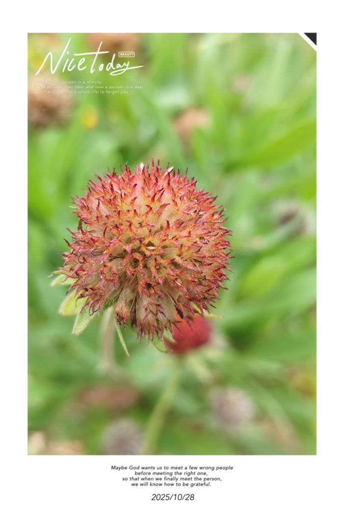 1000025003.jpg 1000025003.jpg