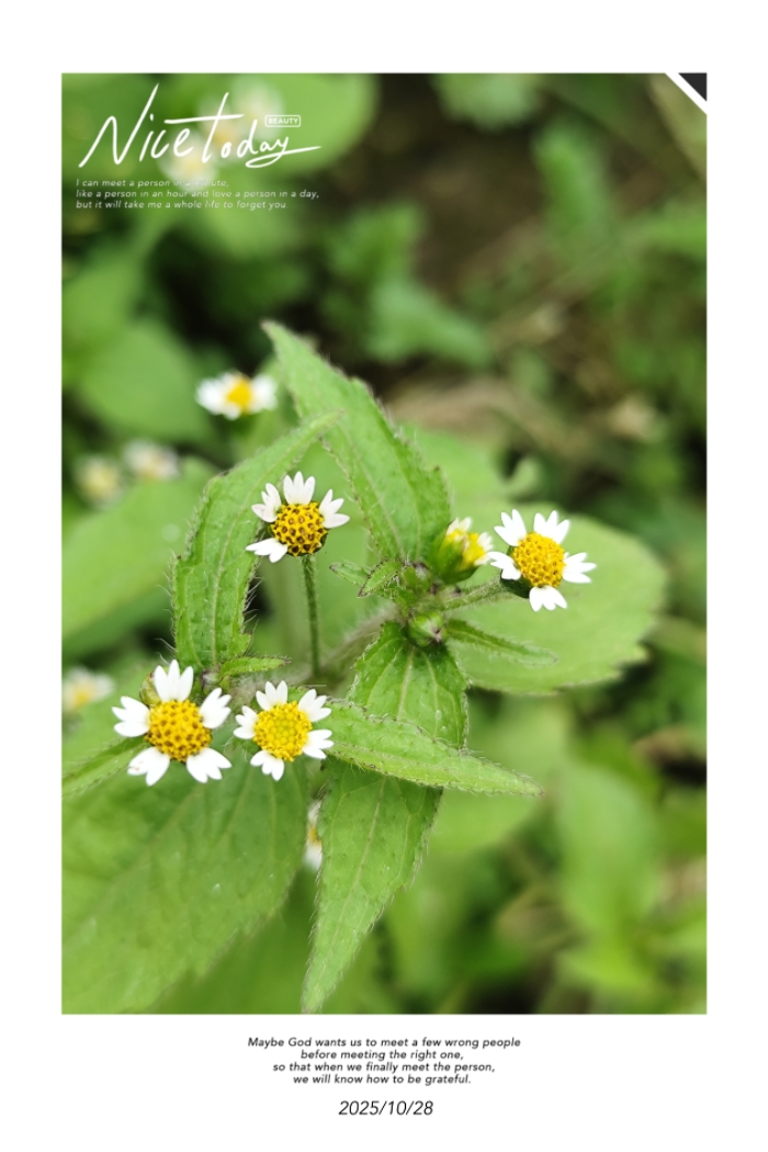 1000025002.jpg 1000025002.jpg