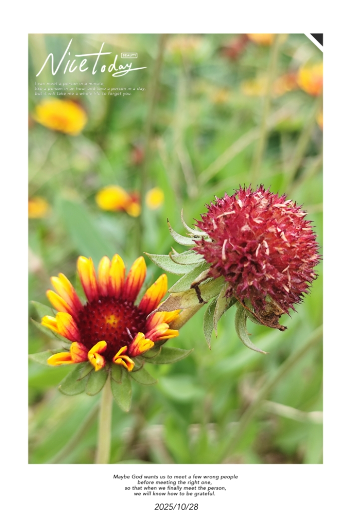 1000025005.jpg 1000025005.jpg