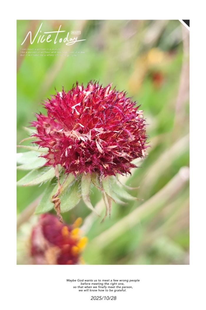 1000025004.jpg 1000025004.jpg