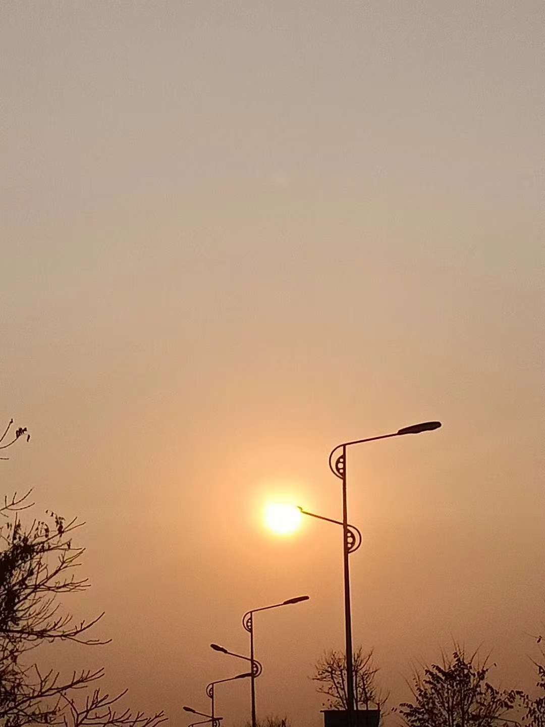 微信图片_20251029114431_310_238.jpg 微信图片_20251029114431_310_238.jpg